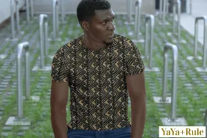 Brown Bogolan African Print Men's T-shirt