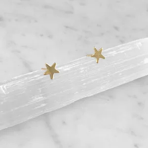 Gold Star Post Earrings