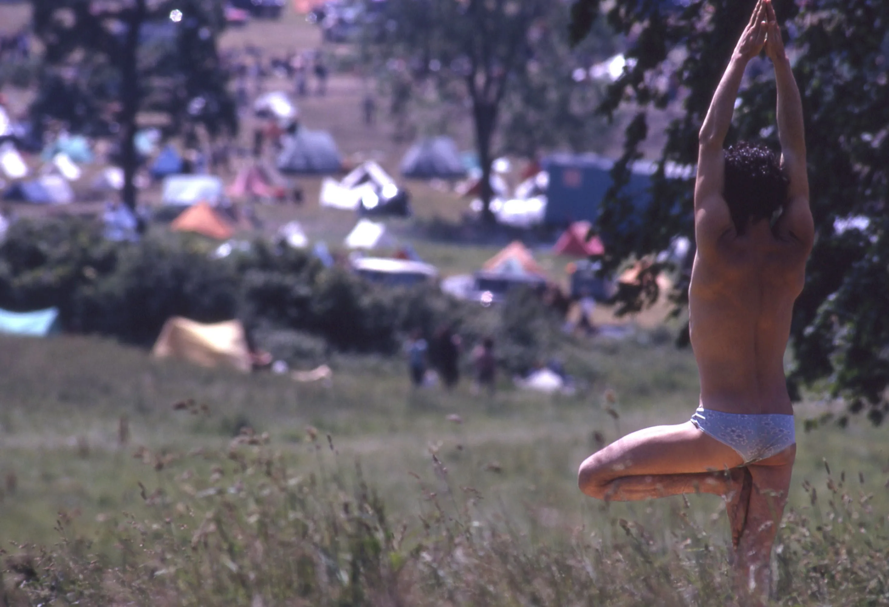 IDEA - In The Vale Of Avalon: Glastonbury Festival 1971 - Paul Misso
