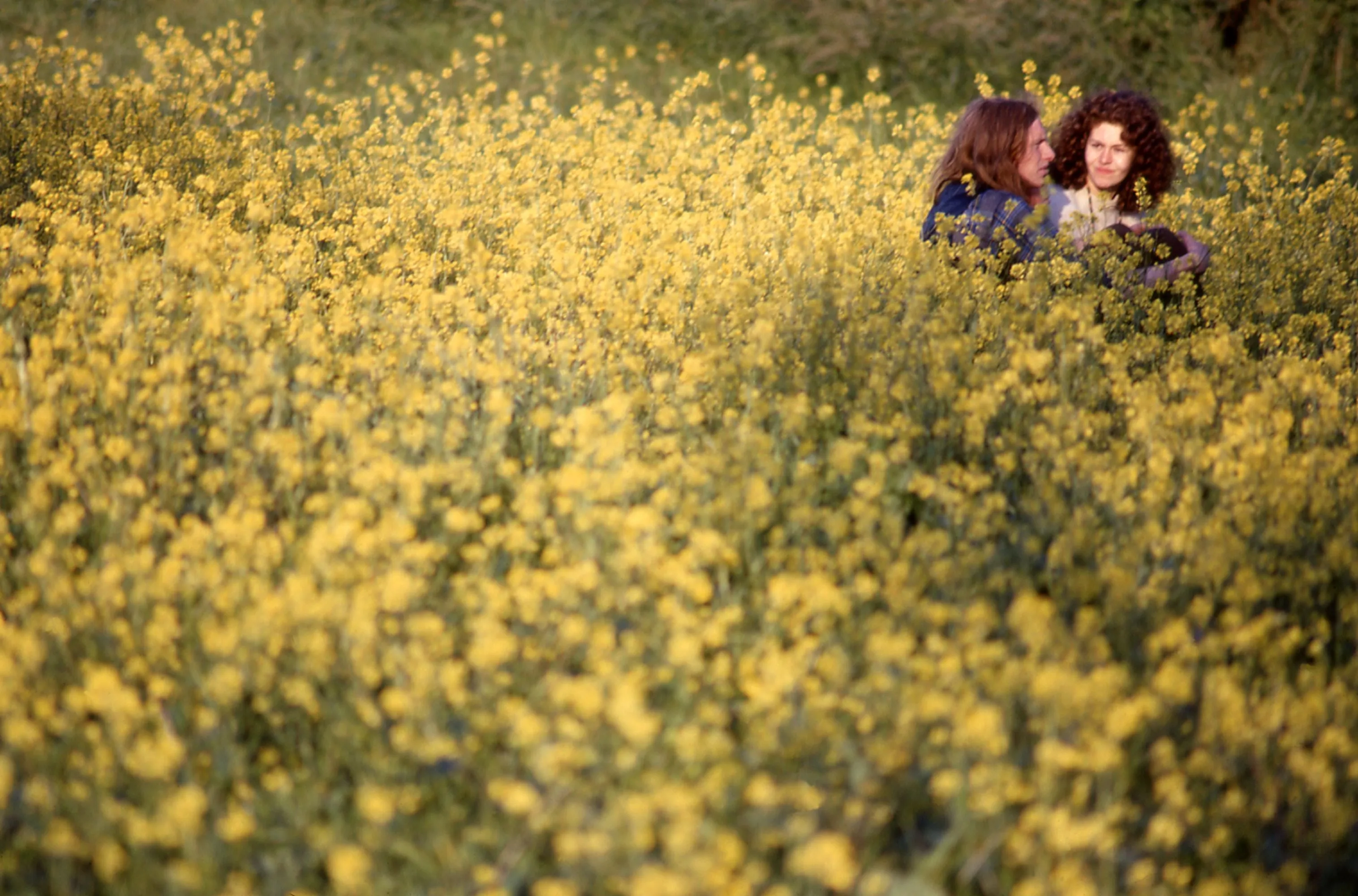 IDEA - In The Vale Of Avalon: Glastonbury Festival 1971 - Paul Misso