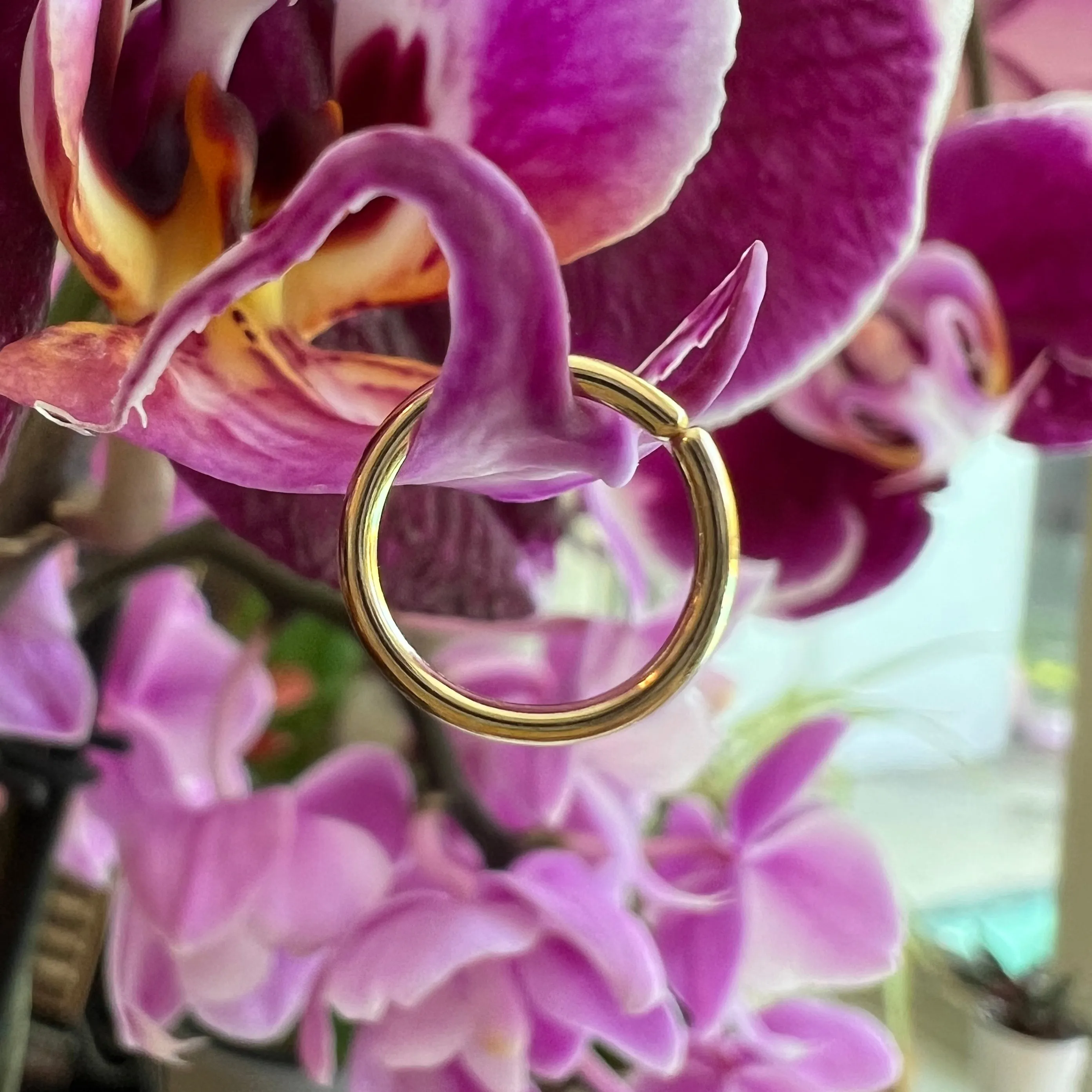 Plain Seam Ring