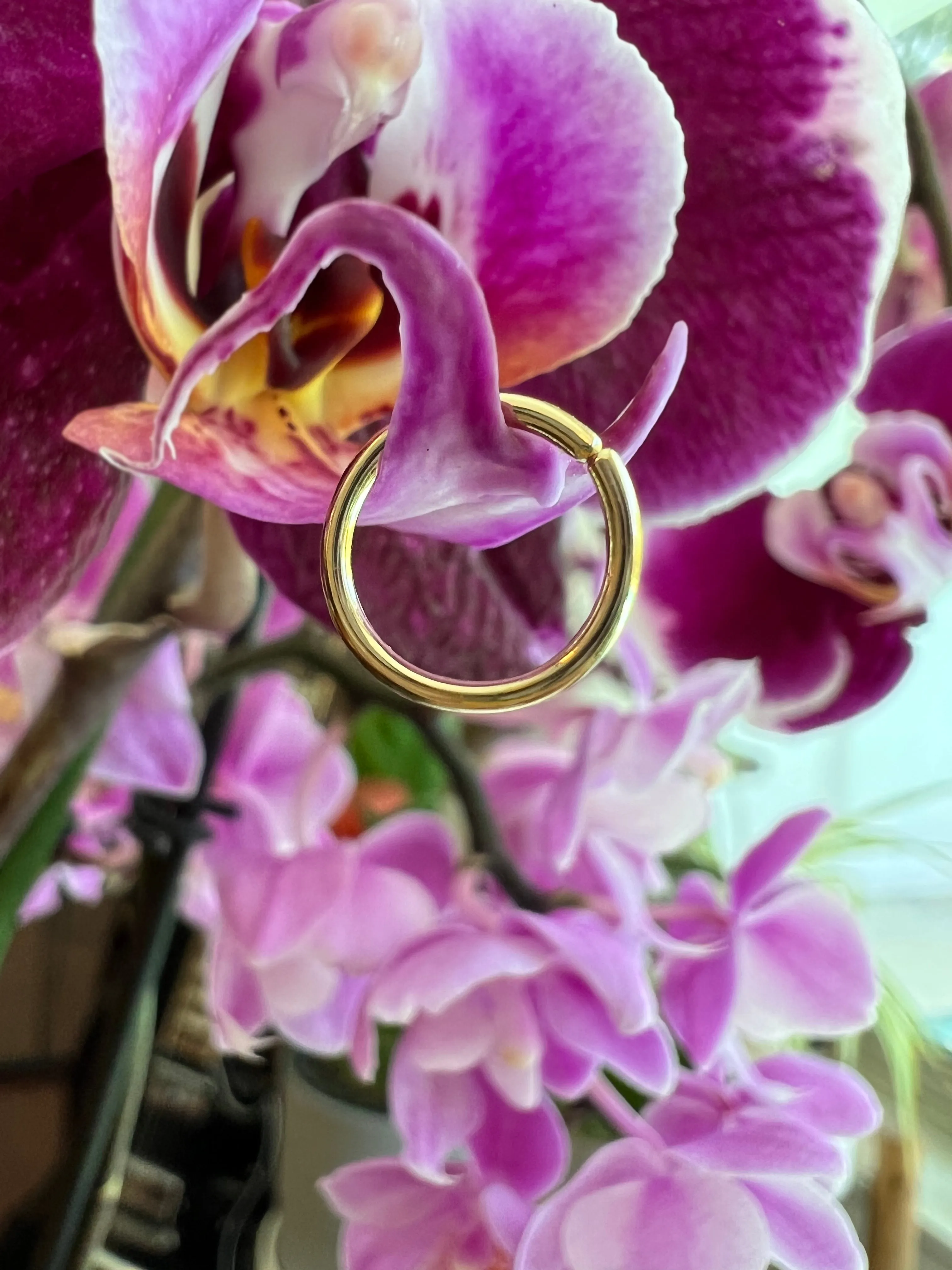 Plain Seam Ring
